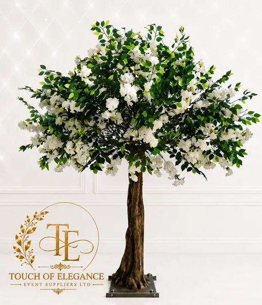 2 2.5M Cherry Tree